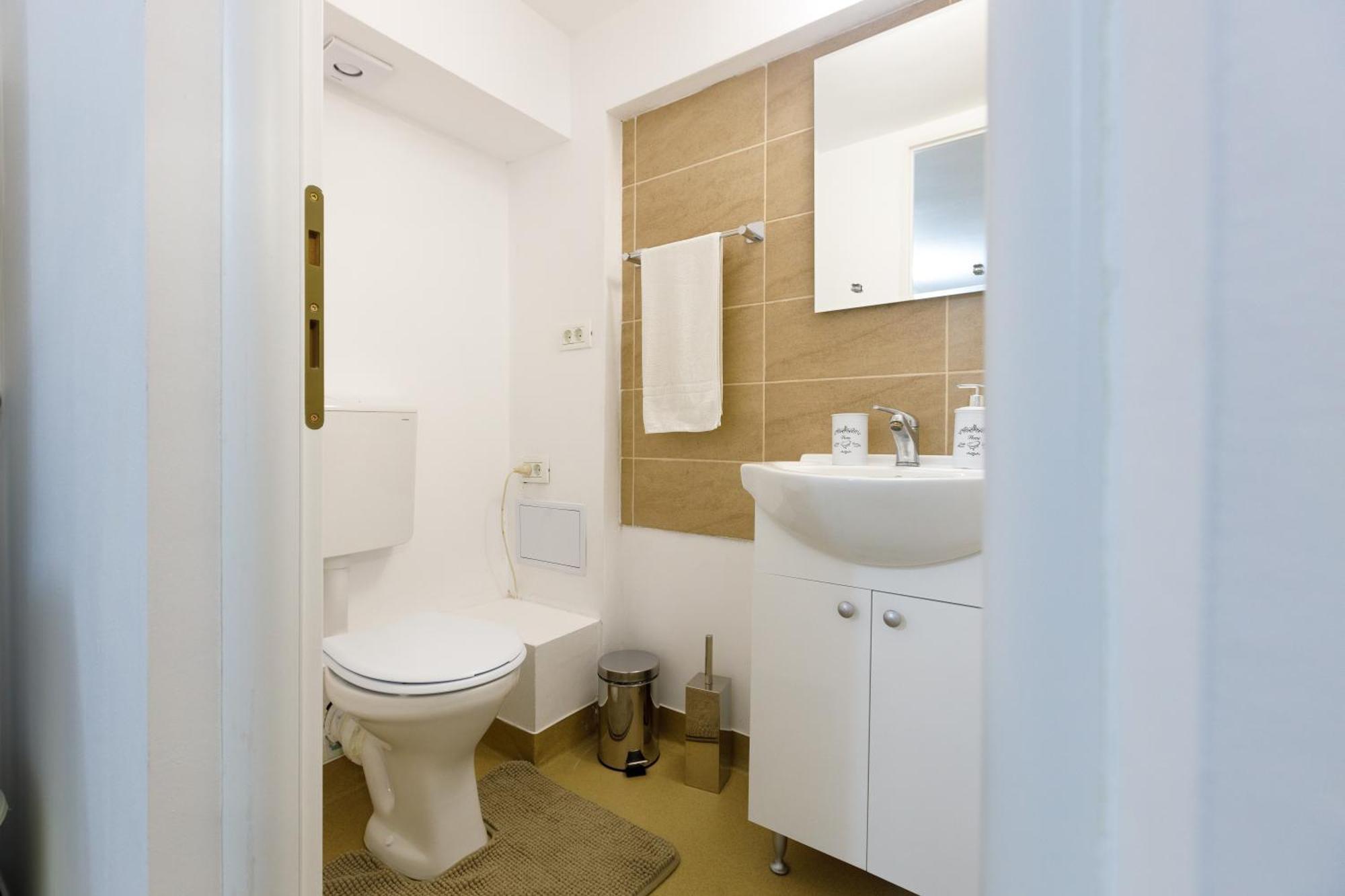 Apartment Modern Brasov